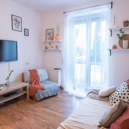 Home Studio Z Ogrodkiem Cracovia Esterno foto